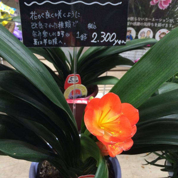 Photos At 平田ナーセリー 福岡東店 94 Visitors