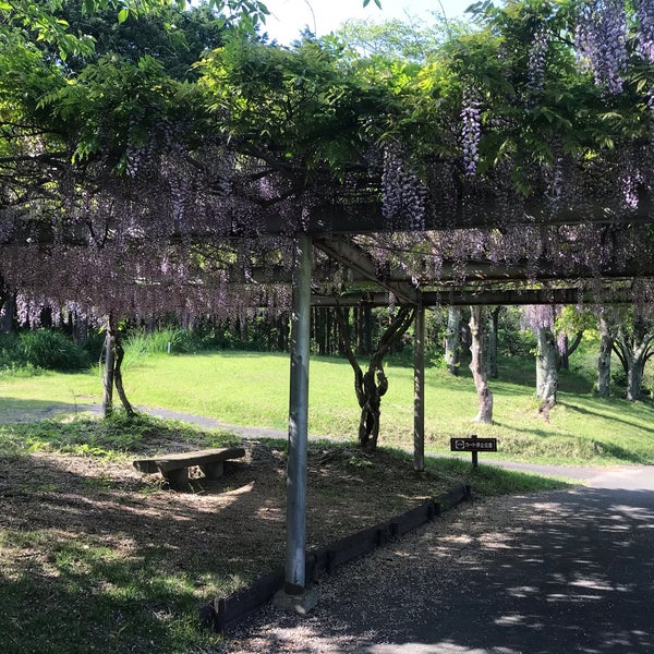 Photos At 筑紫野カントリークラブ Golf Course