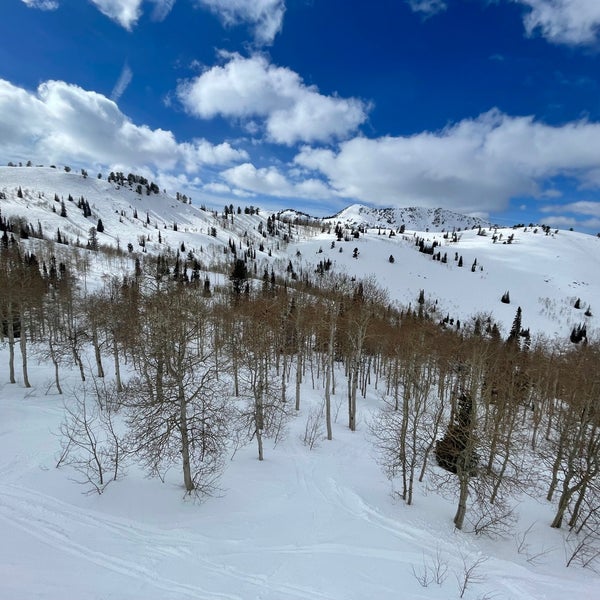 3/22/2022にJeanMatがPowder Mountainで撮った写真