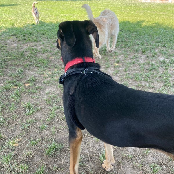 Willmore Park Park in St. Louis