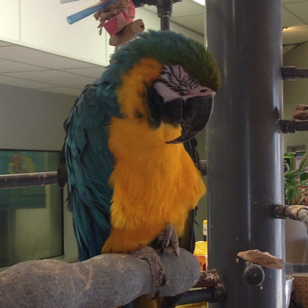 Mermaid Car Wash 11 tips from 384 visitors