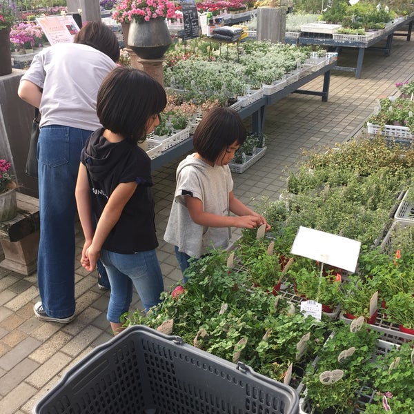 Photos At 平田ナーセリー 熊本江津本店 熊本市 熊本県