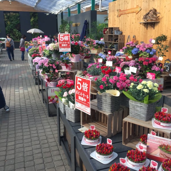 平田ナーセリー 熊本江津本店 熊本市 熊本県 Da Fotograflar