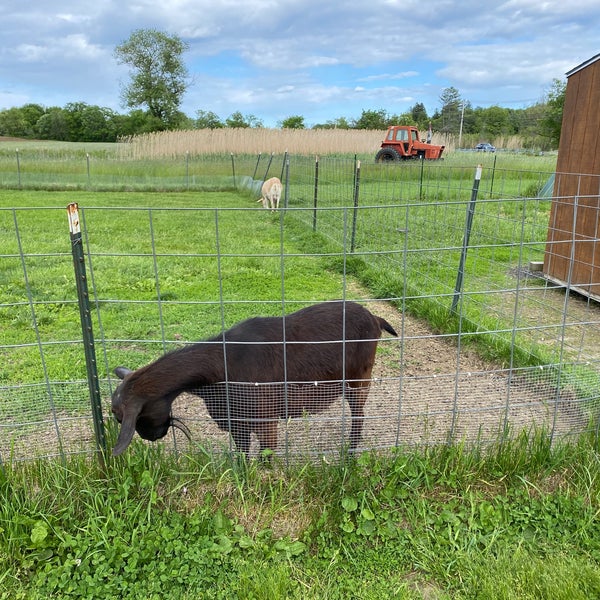 Colby Farmstand Farmers Market in Newbury