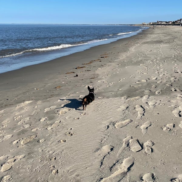 Broadkill Beach 11 tips