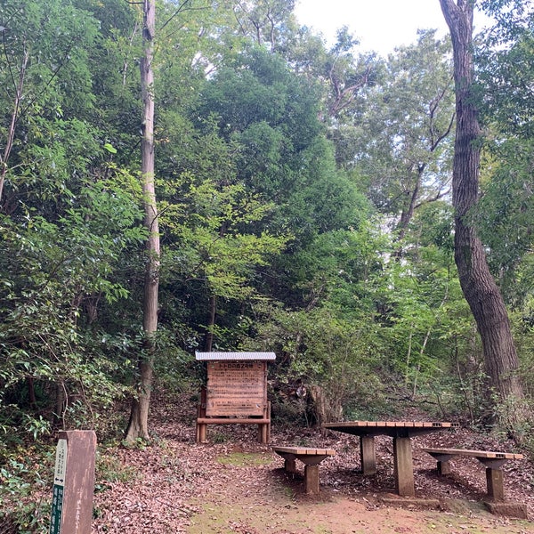 トトロの森2号地 Foret A 所沢市