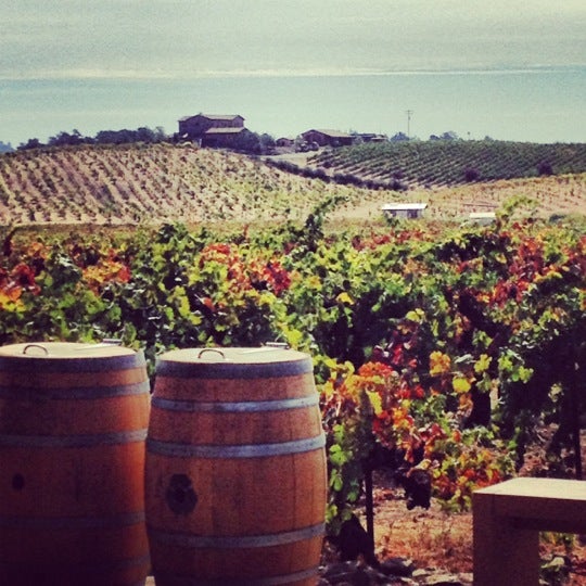 Ridge Vineyards Lytton Springs 22 tips from 2022 visitors