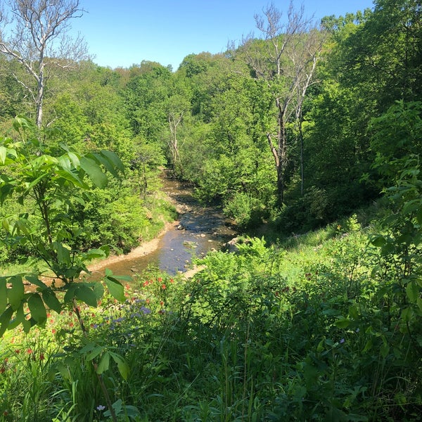waterfall glen forest preserve in darien illinois waterfall glen forest preserve in darien illinois