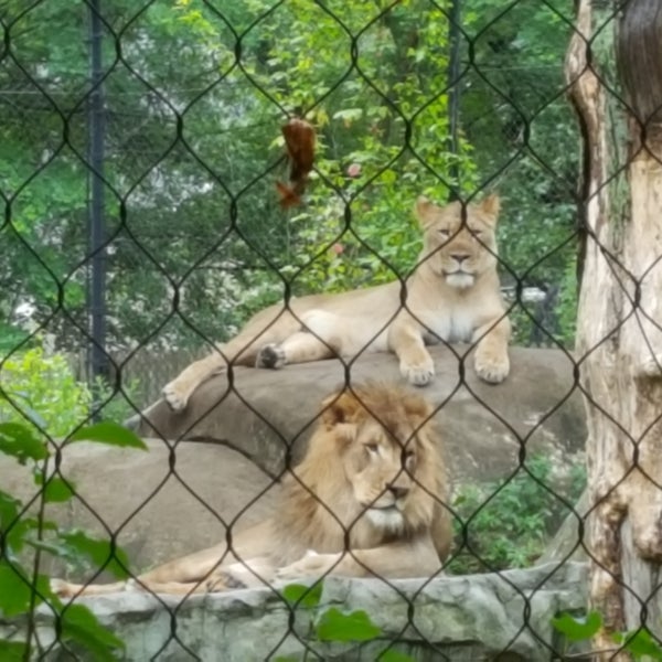 Photo taken at Henry Vilas Zoo by Jim D. on 7/12/2017