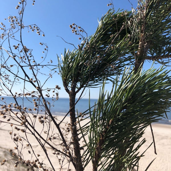 4/17/2019 tarihinde Egle U.ziyaretçi tarafından Nidos centrinis pliazas/ Nida Beach'de çekilen fotoğraf
