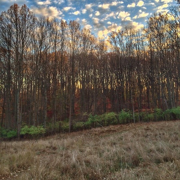 11/11/2013 tarihinde Josh B.ziyaretçi tarafından Audubon Naturalist Society - Woodend Nature Sanctuary'de çekilen fotoğraf