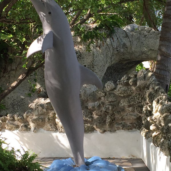 1/3/2015에 Laurence H.님이 Dolphin Research Center에서 찍은 사진