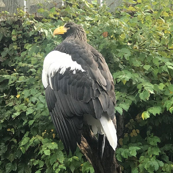 10/22/2019にBill D.がNational Aviaryで撮った写真