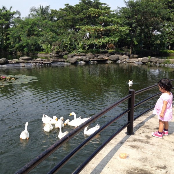 Photos At Taman Angsa Pakuwon City Lake