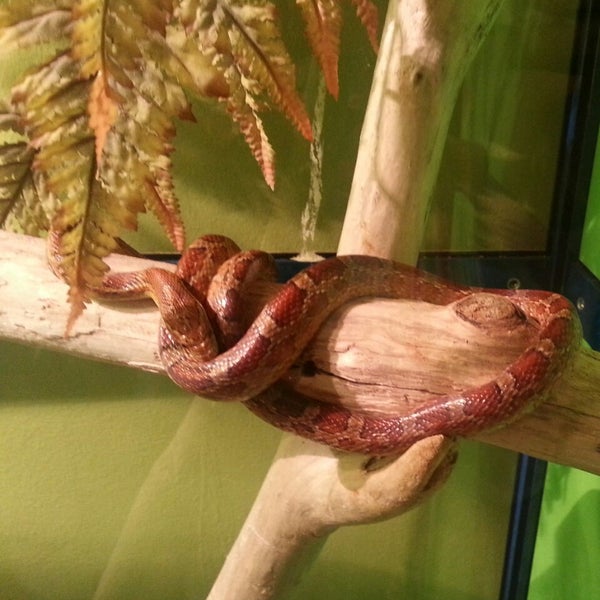 Aquarium Umag 17 visitatori