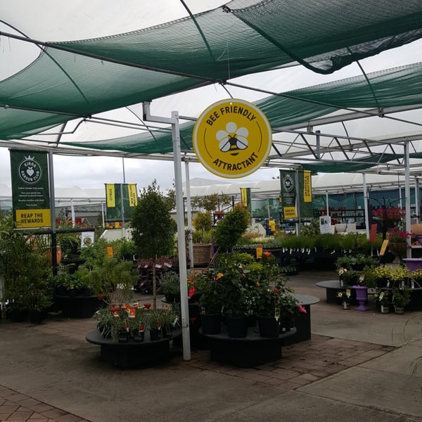 Photos At Kings Plant Barn