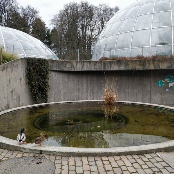 Tropenhäuser Garden in Zürich