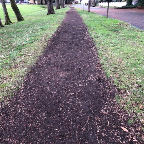 Emerald Park Park in Eugene
