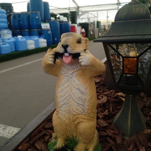 Леруа Мерлен Истра Фото – Telegraph