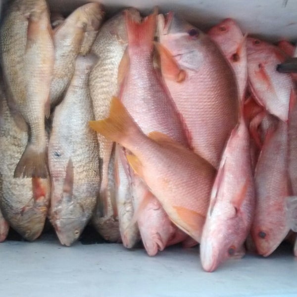 Peixaria de Buraquinho na colonia de pescadores z-57 o peixe mas frescos da região aconselho .