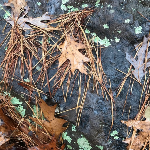 Bridal Veil Falls Scenic Lookout In Heber Springs