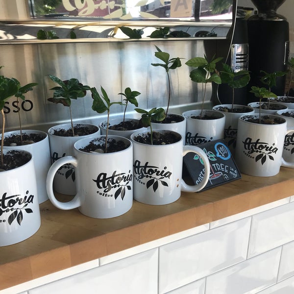 รูปภาพถ่ายที่ Astoria Coffee โดย Donia เมื่อ 8/5/2018