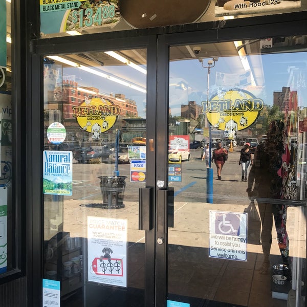 Petland hotsell discounts queens