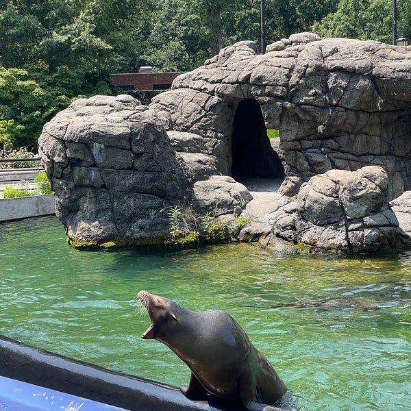 Foto diambil di Prospect Park Zoo oleh Donia pada 7/19/2022