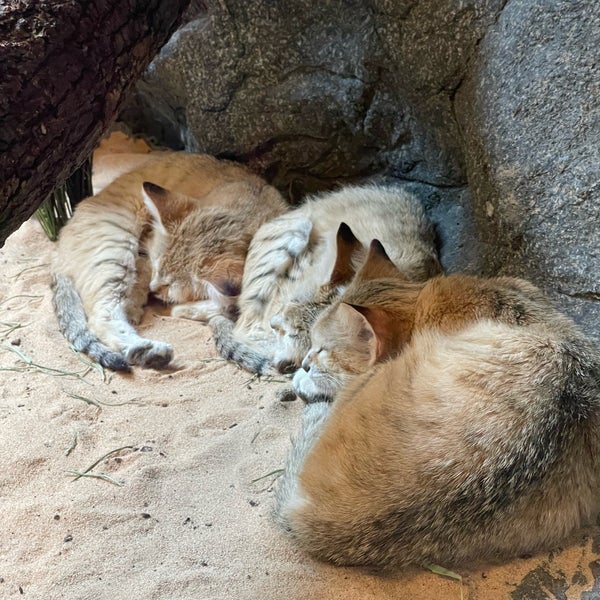 Das Foto wurde bei Prospect Park Zoo von Donia am 7/19/2022 aufgenommen