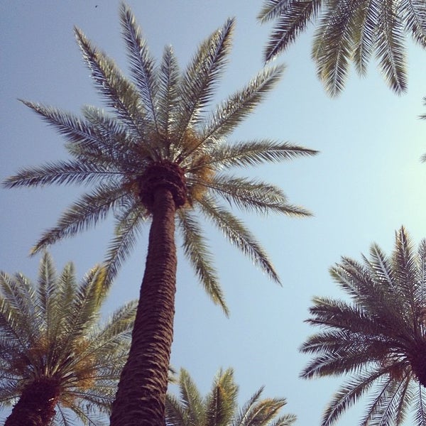 Palm Desert Escorts