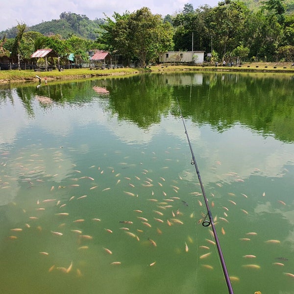 Photos At Ulu Yam Heritage Fishing Pond Lake