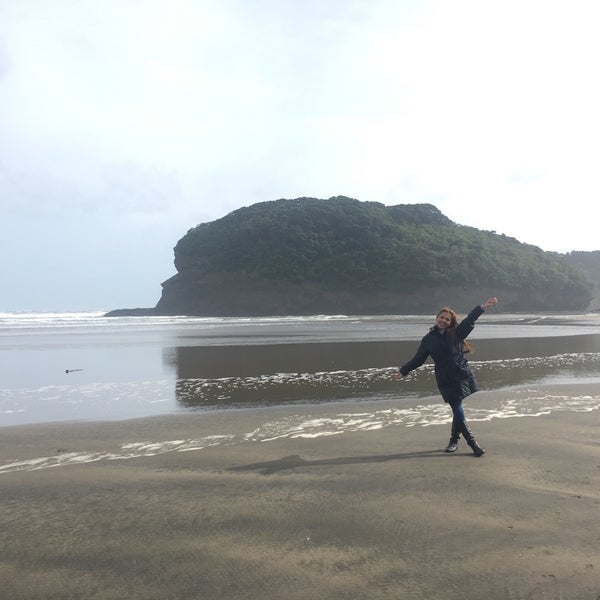 Bethells Beach the Wilds