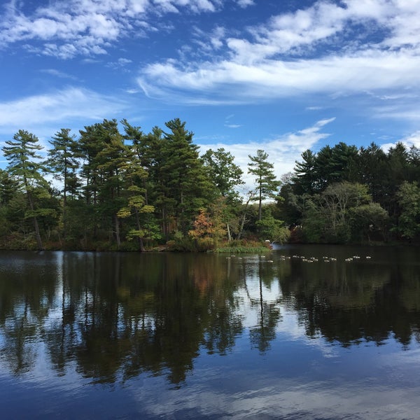 Johnson's Pond Raynham, MA