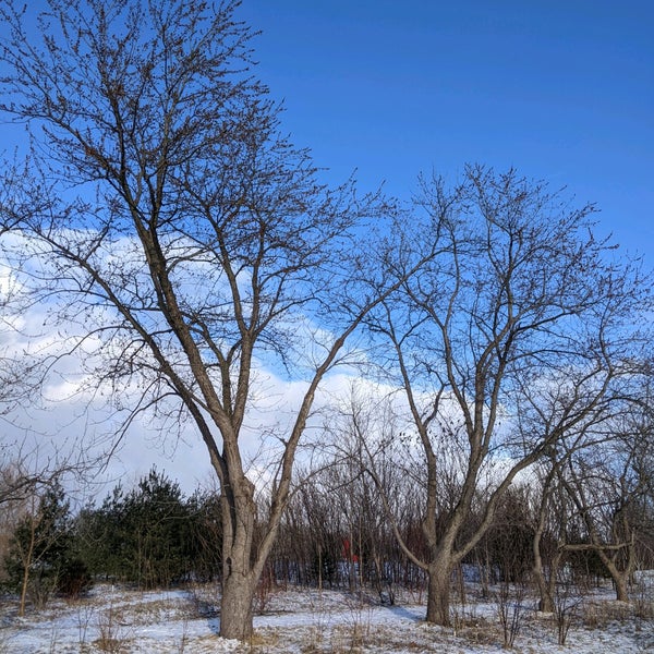Photo taken at Downsview Park by Adí on 3/28/2022