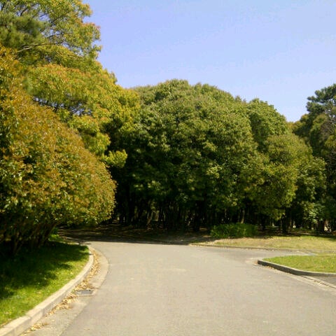 服部緑地公園 11 Tips From 2994 Visitors