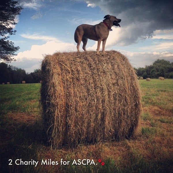 Heard Farm Conservation Area Wayland, MA