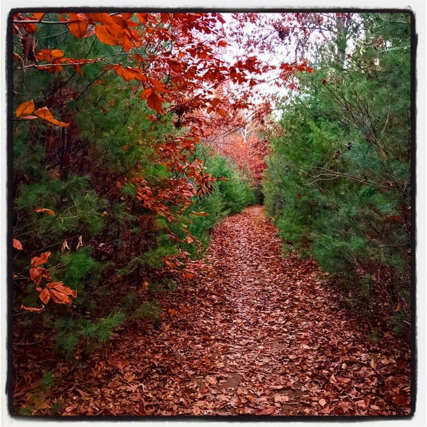 Dufresne Park 40 Kendall St