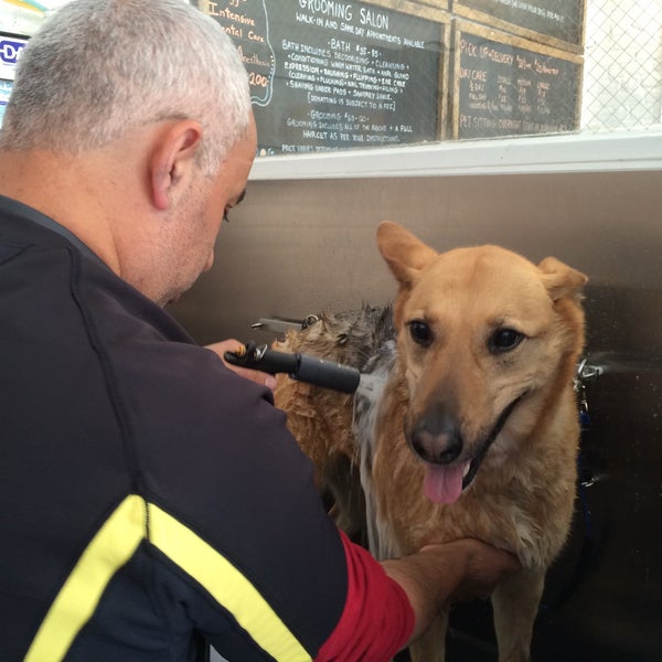 รูปภาพถ่ายที่ Dog Wash N&#39; Go โดย Doris D. เมื่อ 4/19/2015