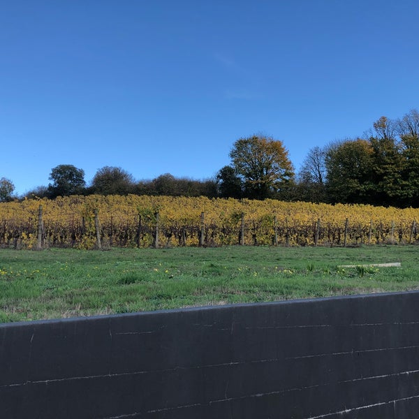 Foto scattata a REX HILL Vineyards &amp; Winery da Doris D. il 11/4/2018