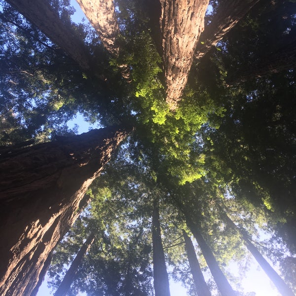 Photo prise au Ventana Big Sur par Tim R. le3/16/2022