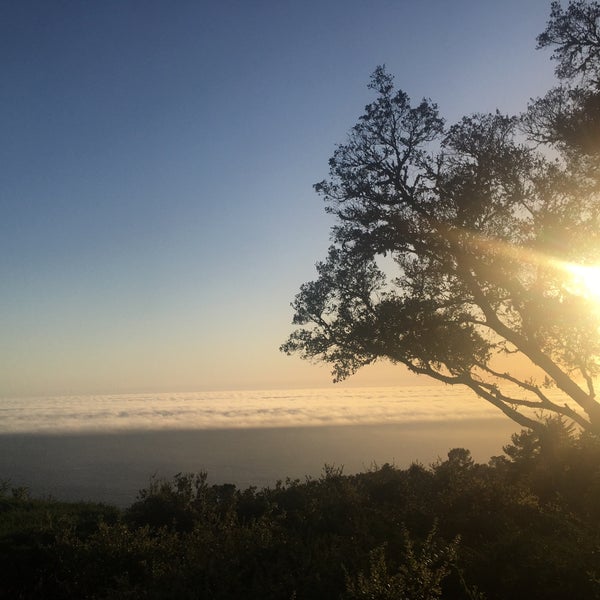 3/16/2022 tarihinde Tim R.ziyaretçi tarafından Ventana Big Sur'de çekilen fotoğraf