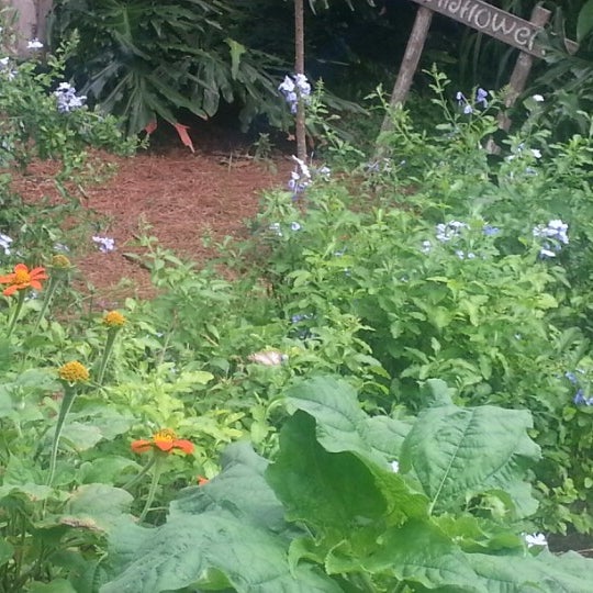 Mead Gardens Winter Park, FL