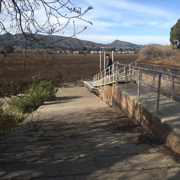 midsummers eve dating site