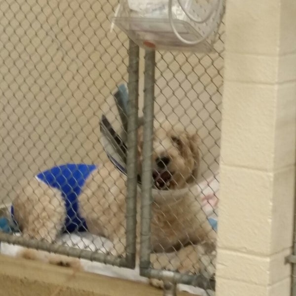 Clydesdale Hall 2 tips from 115 visitors