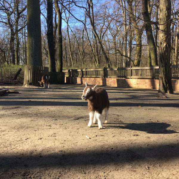 4/4/2021 tarihinde ERAKU .ziyaretçi tarafından Tierpark Berlin'de çekilen fotoğraf