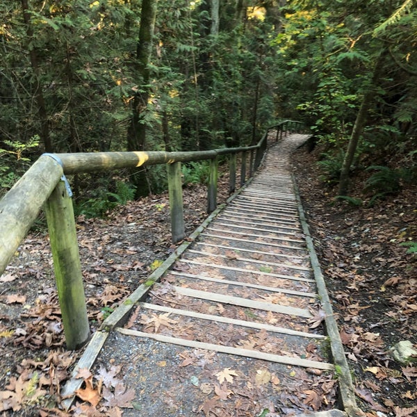 Byrne Creek Ravine Park Park in Edmonds