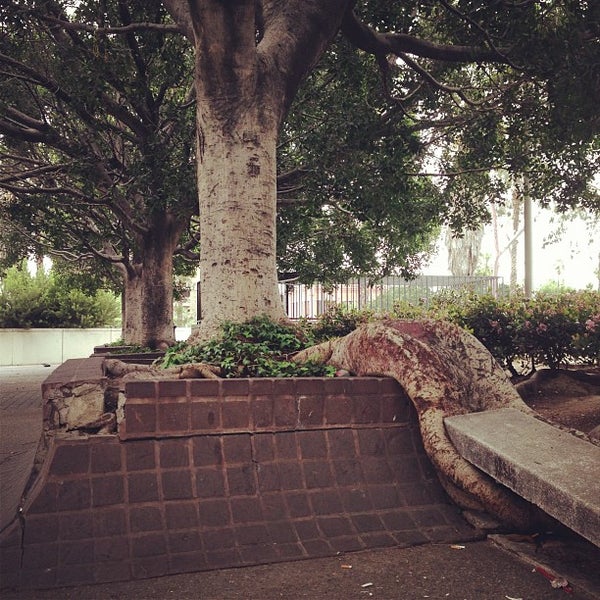 Fletcher Bowron Square Park in Los Angeles