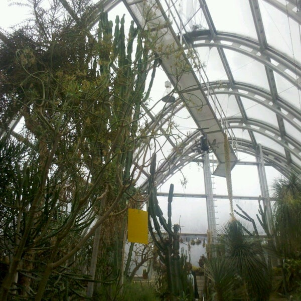 Gewachshauser Des Botanischen Gartens Graz Geidorf Graz