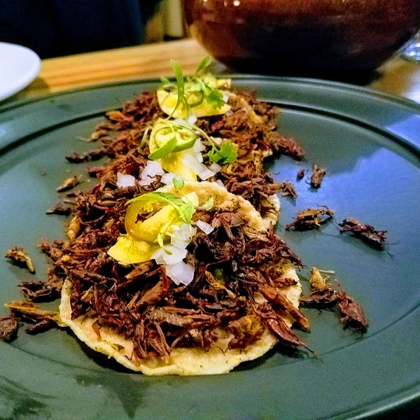 Beautiful food presentation, mezcal cocktails and friendly service! For the adventurous eaters, try your hand at the cricket tacos!