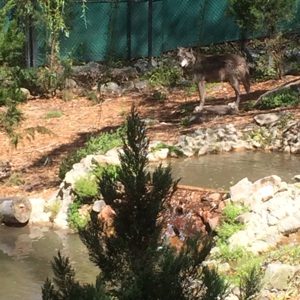 Photo taken at Wolf Valley - Busch Gardens by Jennifer G. on 4/16/2014